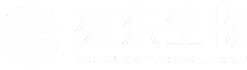 威尼斯人
